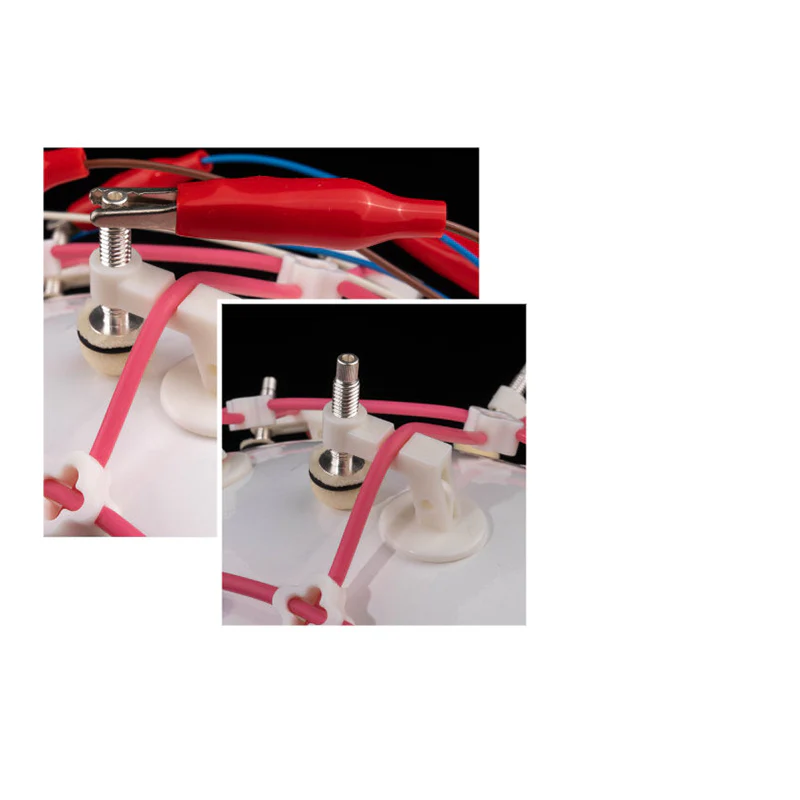 Tenocom Official Site | Reliable EEG Cap Solutions