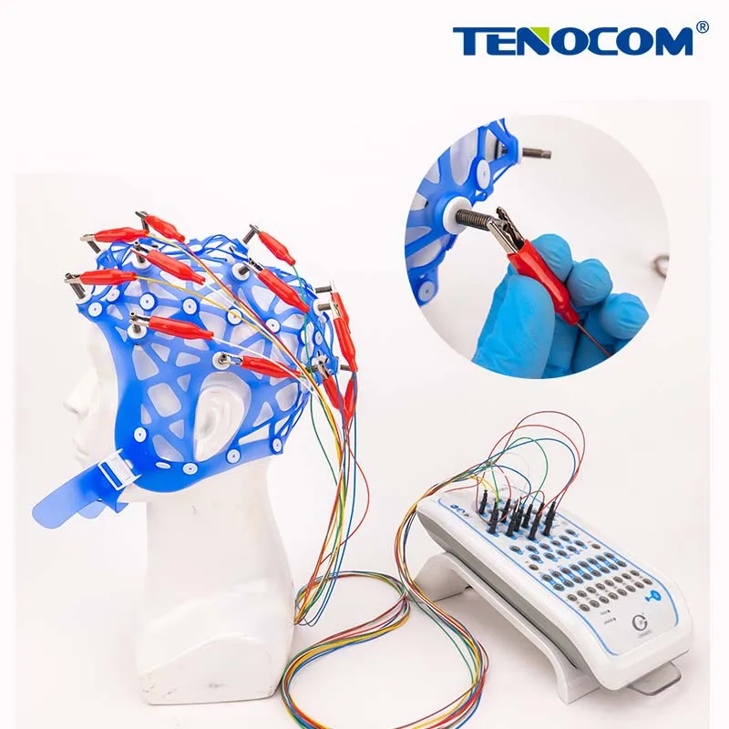 Elastic EEG Caps for Bridge Electrode | Tenocom