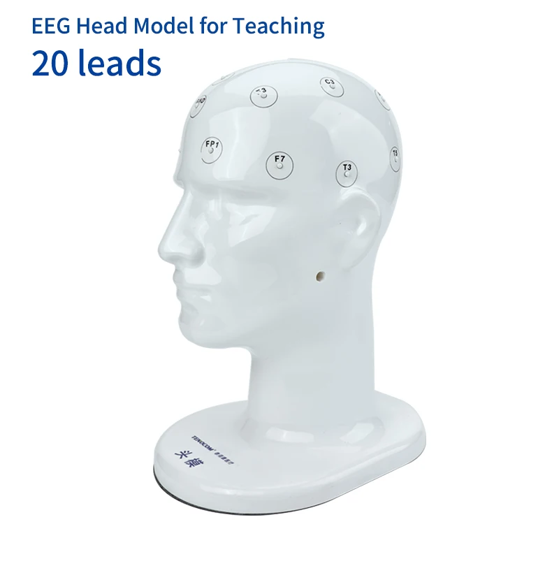 Teaching Head Mold - Tenocom Products