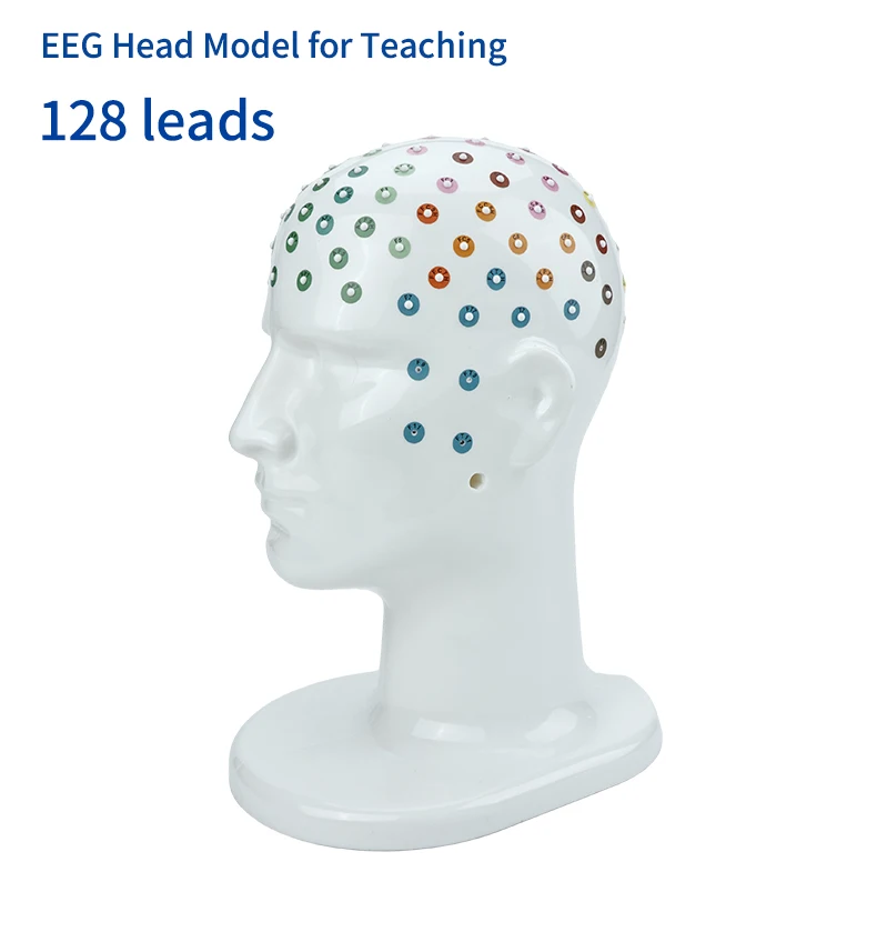 Teaching Head Mold - Tenocom Products