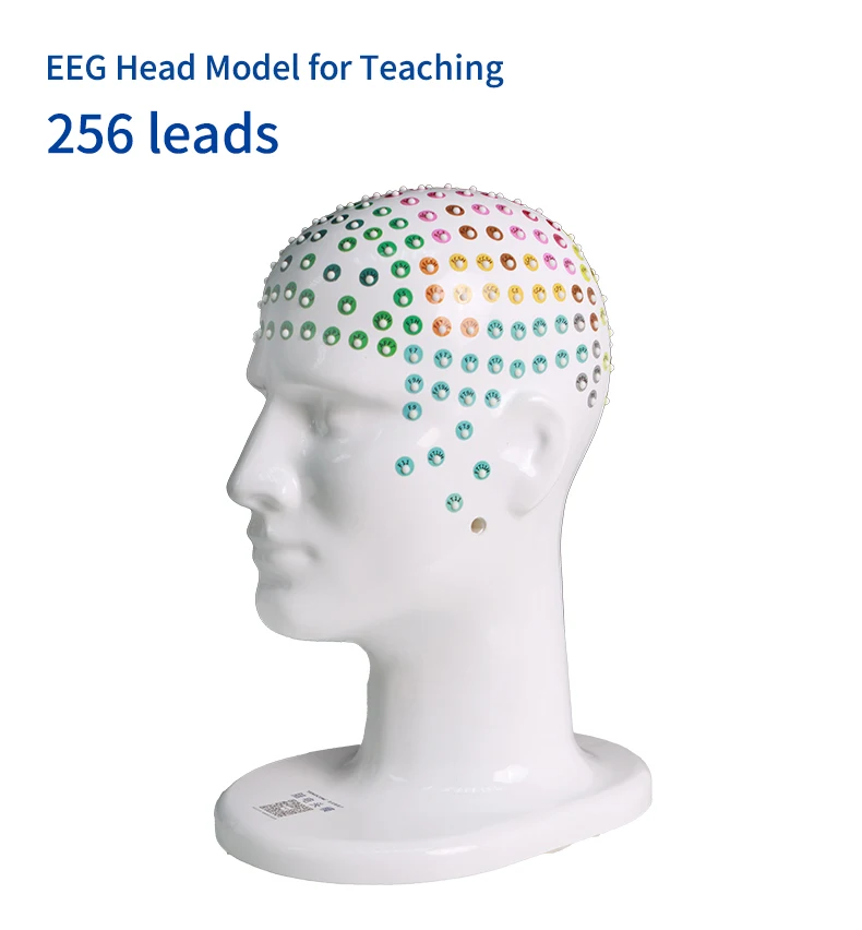 Teaching Head Mold - Tenocom Products