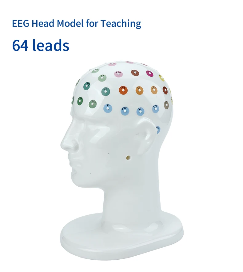 Teaching Head Mold - Tenocom Products
