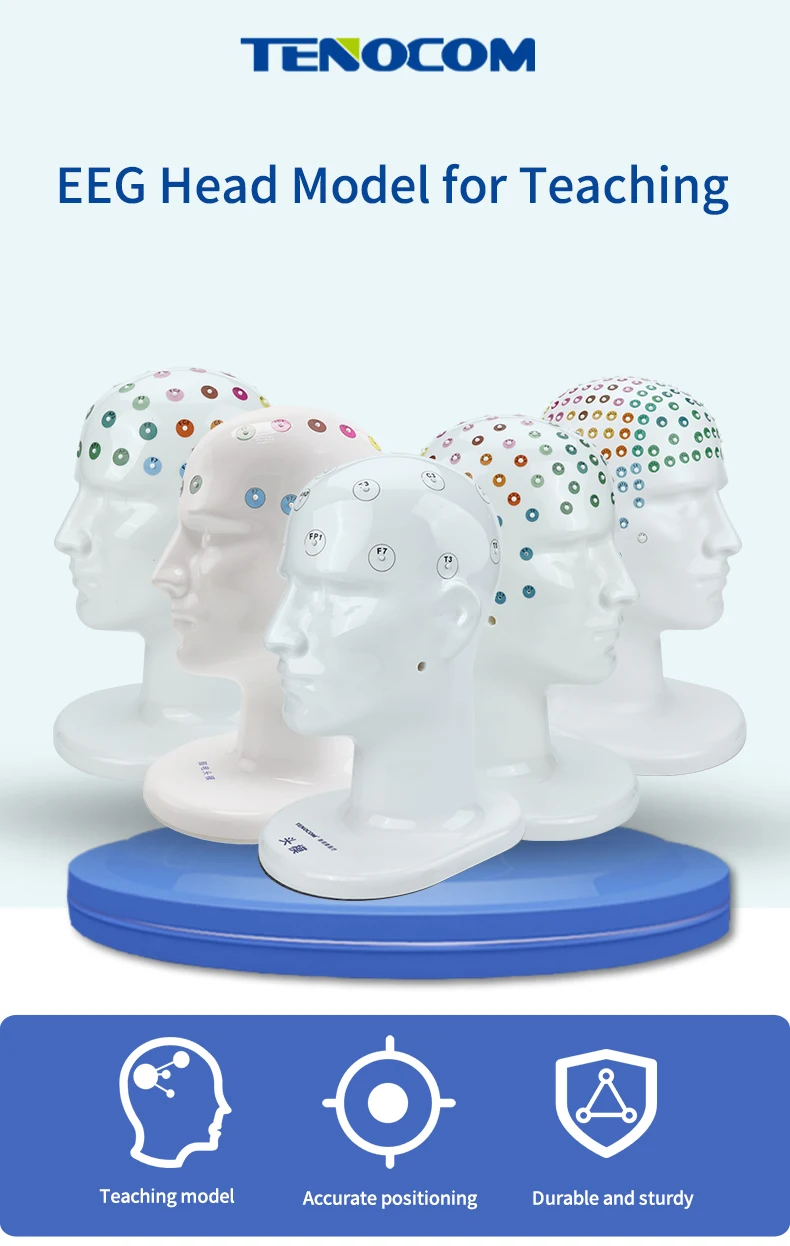 Teaching Head Mold - Tenocom Products