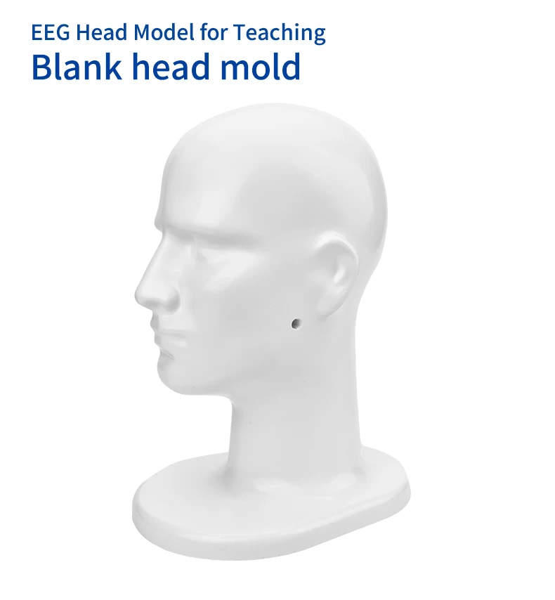Teaching Head Mold - Tenocom Products