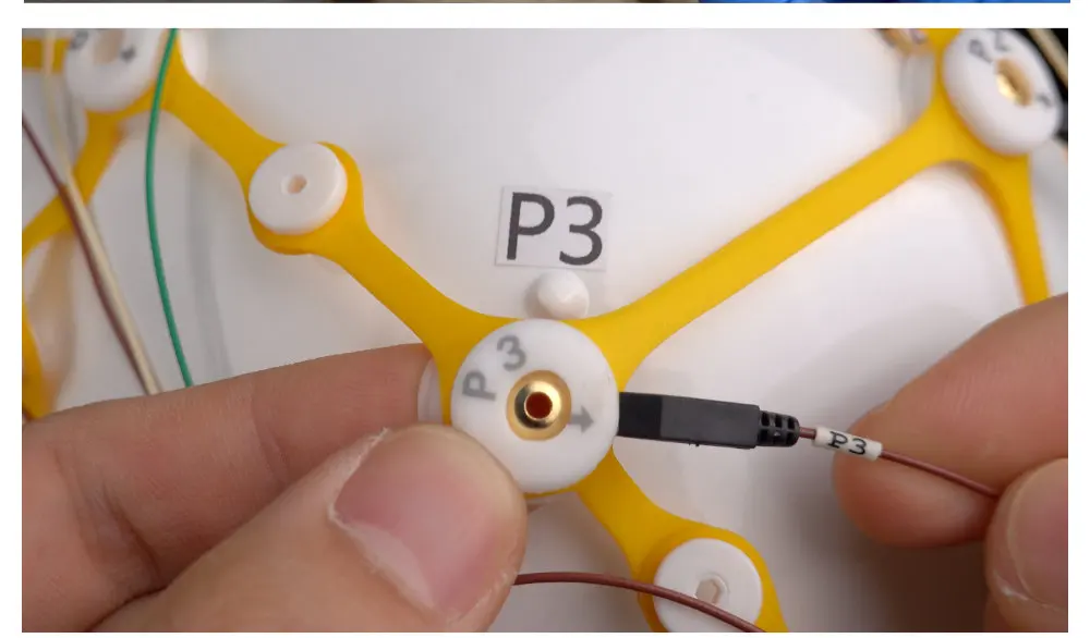 EEG Cap for Cup Electrode | Tenocom